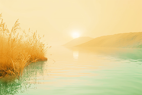 desembocadura de un rio